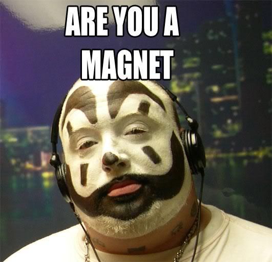 fckingmagnets.jpg