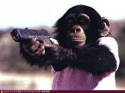 monkey and gun Pictures, Images and Photos
