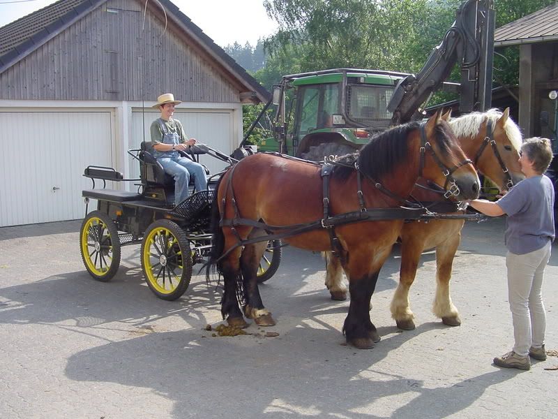 Kutsche beim Einfahren